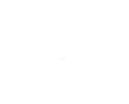 Twitter Followers